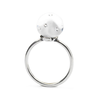 Ring met sneeuwbol 51 (retired)